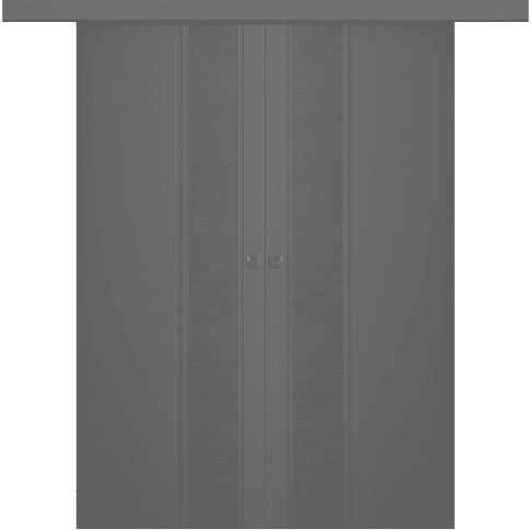 Твинвуд 1 Эмаль графит Купе двойное фото