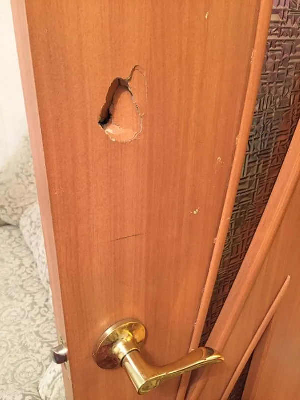 Реставрация двери из шпона. Советы в блоге ru