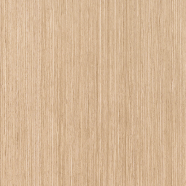 Дуб светлый