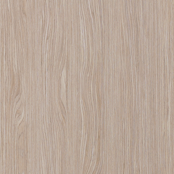 Дуб французский